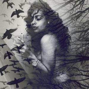 Meet your Posher, Apples